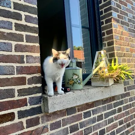 게스트하우스 Le Domaine Du Lavoir Villemoiron-en-Othe